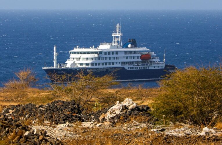 ¿Qué es el hantavirus, brote que afecta a un crucero de expediciones?