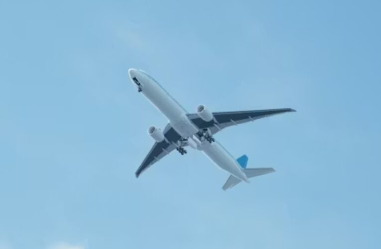 Sectur coordina apoyo a afectados en México por suspensión de aerolínea Magnicharters